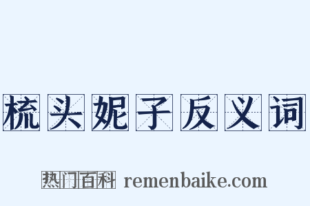 梳头妮子反义词是什么意思的图片